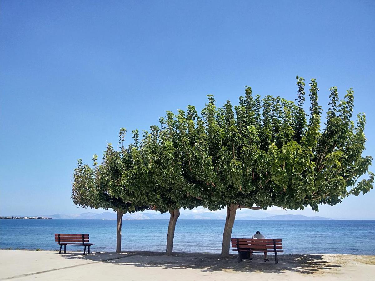 Artemis Apartment,Beach Two-Bedroom Εξωτερικό φωτογραφία