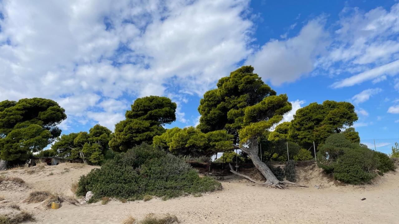 Artemis Apartment,Beach Two-Bedroom Εξωτερικό φωτογραφία